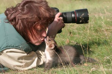 Unexpected Animal Interactions with Wildlife Photographers: 17 Stunning Photos