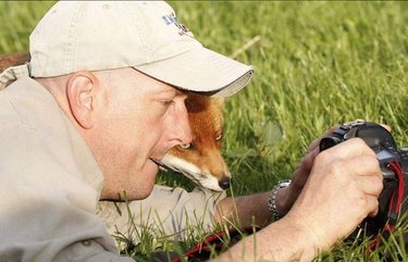 Unexpected Animal Interactions with Wildlife Photographers: 17 Stunning Photos