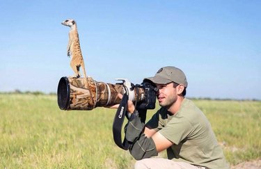 Unexpected Animal Interactions with Wildlife Photographers: 17 Stunning Photos