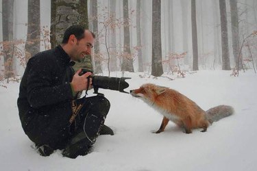 Unexpected Animal Interactions with Wildlife Photographers: 17 Stunning Photos