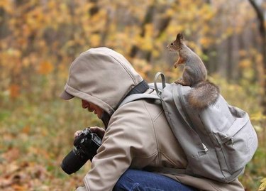 Unexpected Animal Interactions with Wildlife Photographers: 17 Stunning Photos