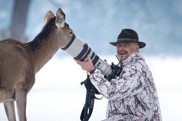 Unexpected Animal Interactions with Wildlife Photographers: 17 Stunning Photos