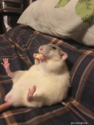 16 Hilarious Animal Moments Guaranteed to Brighten Your Day