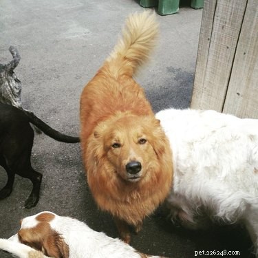 16 Hilarious Animal Moments Guaranteed to Brighten Your Day