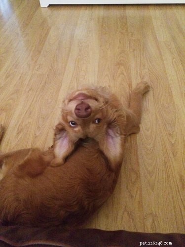 16 Hilarious Animal Moments Guaranteed to Brighten Your Day