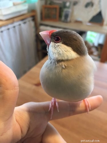 16 Hilarious Animal Moments Guaranteed to Brighten Your Day
