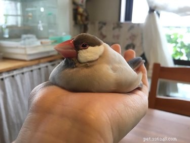16 Hilarious Animal Moments Guaranteed to Brighten Your Day