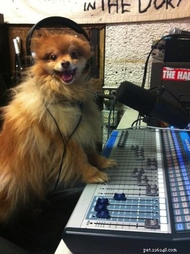 18 Hilarious Animal Photos Guaranteed to Lift Your Spirits
