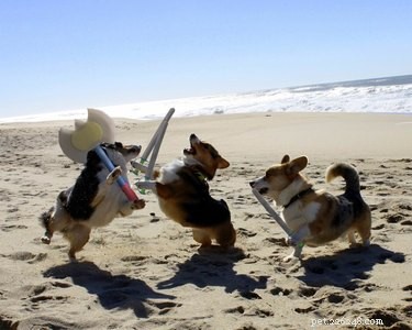 18 Hilarious Animal Photos Guaranteed to Lift Your Spirits