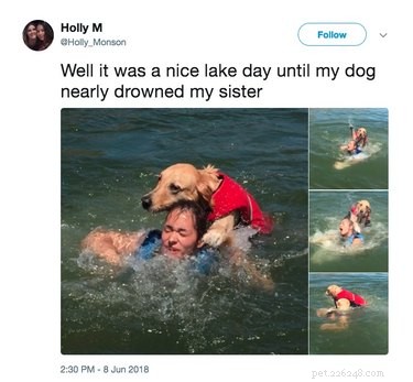 19 Hilarious Pet Tweets Guaranteed to Make You Laugh Out Loud