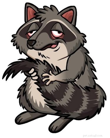 10 Raccoons That Went Viral for Unforgettable Mischief