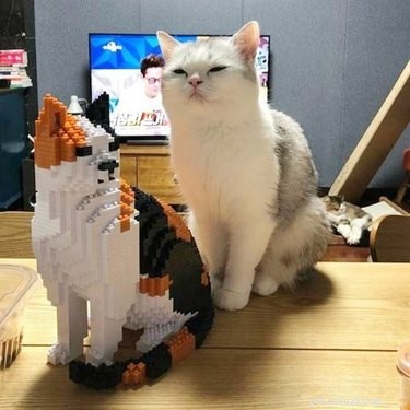 17 Unusual Pets That Will Melt Your Heart