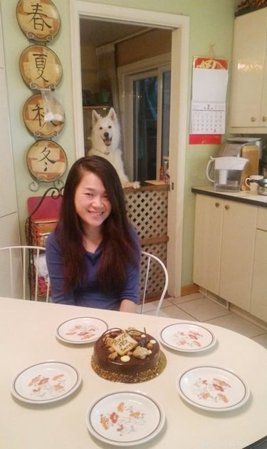 17 Pets That Will Delightfully Photobomb Your Memories