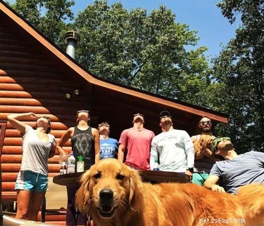 17 Pets That Will Delightfully Photobomb Your Memories