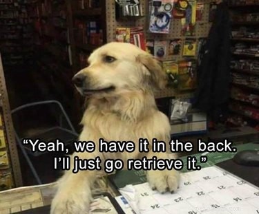 18 Hilarious Pet Photos That Will Make You Laugh Out Loud