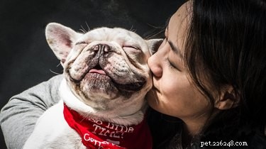 Help Best Friends Place 10,000 Shelter Pets in Loving Homes by July 4