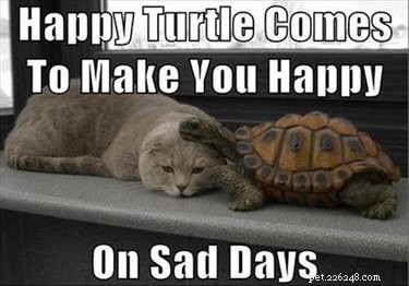 17 Delightful Pet Antics That’ll Brighten Your Day