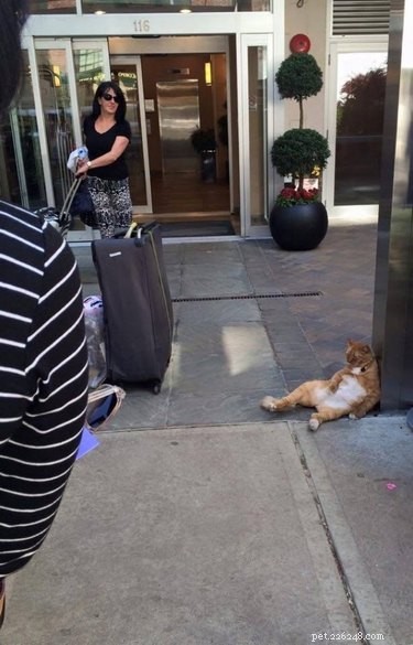 19 Hilarious Pet Photos That Will Melt Your Heart