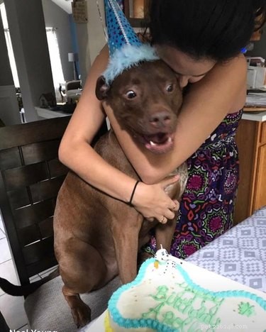 17 Heartwarming Pet Memes That Will Make You Smile