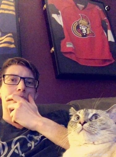 17 Heartwarming Pet Memes That Will Make You Smile