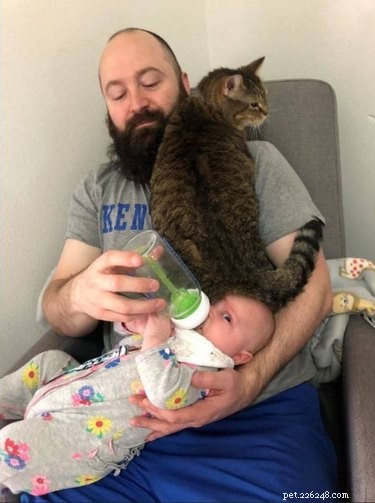 17 Hilarious Pet Photos Guaranteed to Melt Your Heart