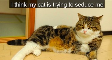 17 Hilarious Pet Photos Guaranteed to Melt Your Heart