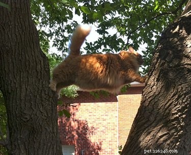 17 Hilarious Pet Photos Guaranteed to Melt Your Heart