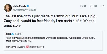 Police Respond to Unusual Pig Escape at Train Station