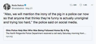 Police Respond to Unusual Pig Escape at Train Station