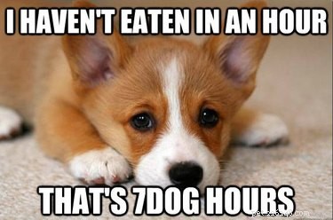 17 Adorable Baby Animals Eagerly Await Their Meals