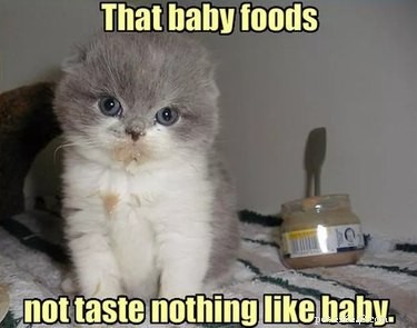 17 Adorable Baby Animals Eagerly Await Their Meals