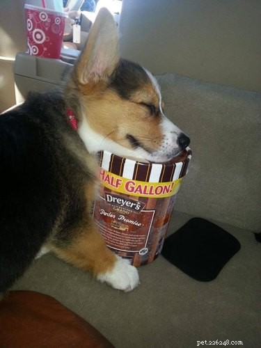 17 Adorable Baby Animals Eagerly Await Their Meals