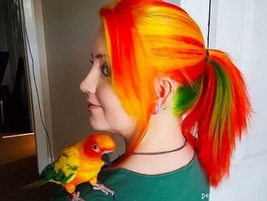 21 Sweetest Bird Companions on the Internet