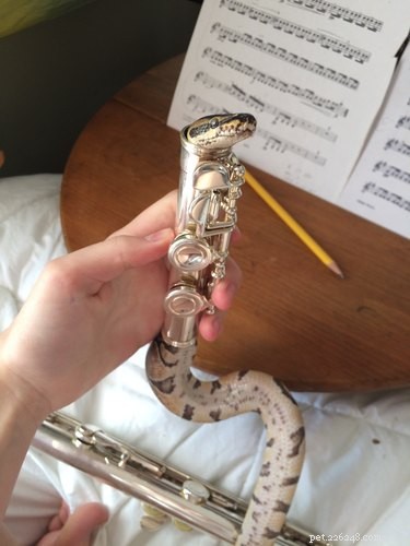 22 Adorable Reptile Photos That Will Melt Your Heart