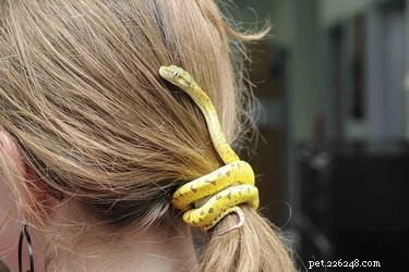 22 Adorable Reptile Photos That Will Melt Your Heart