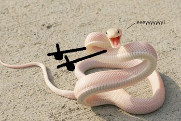22 Adorable Reptile Photos That Will Melt Your Heart
