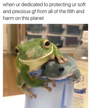22 Adorable Reptile Photos That Will Melt Your Heart