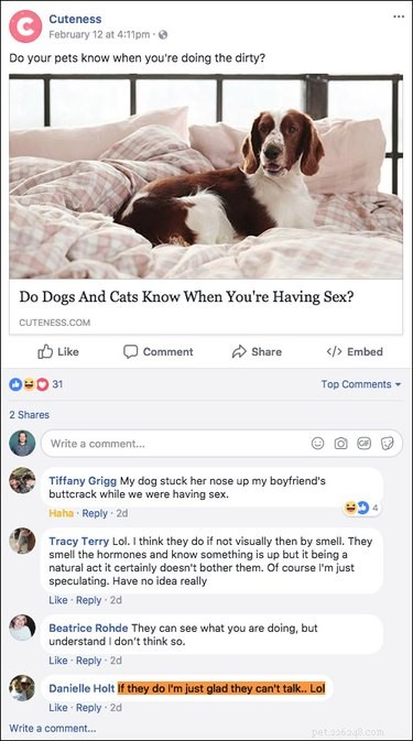 Top 15 Hilarious Facebook Comments That Will Brighten Your Day