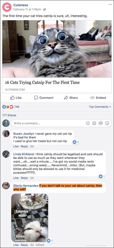 Top 15 Hilarious Facebook Comments That Will Brighten Your Day