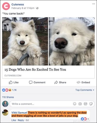 Top 15 Hilarious Facebook Comments That Will Brighten Your Day