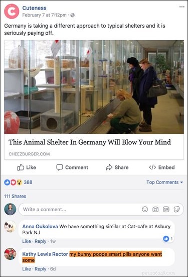 Top 15 Hilarious Facebook Comments That Will Brighten Your Day