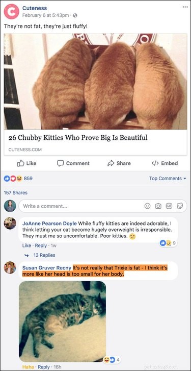 Top 15 Hilarious Facebook Comments That Will Brighten Your Day