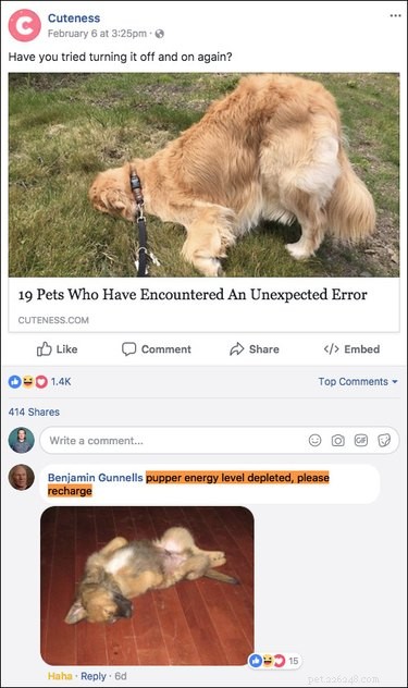 Top 15 Hilarious Facebook Comments That Will Brighten Your Day