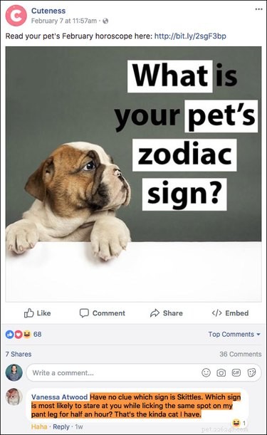 Top 15 Hilarious Facebook Comments That Will Brighten Your Day
