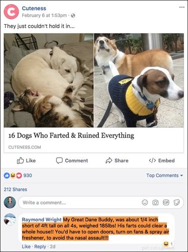 Top 15 Hilarious Facebook Comments That Will Brighten Your Day
