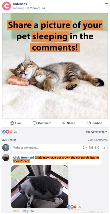 Top 15 Hilarious Facebook Comments That Will Brighten Your Day