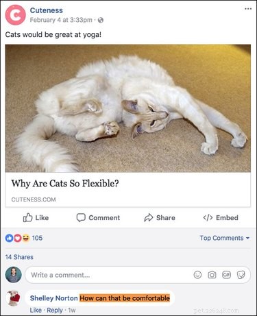 Top 15 Hilarious Facebook Comments That Will Brighten Your Day