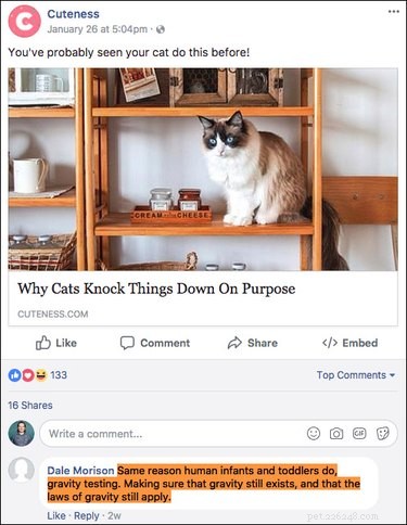 Top 15 Hilarious Facebook Comments That Will Brighten Your Day