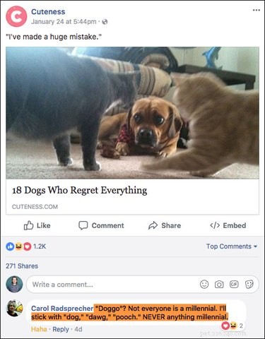 Top 15 Hilarious Facebook Comments That Will Brighten Your Day