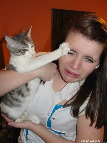18 Hilarious Pet Antics That Will Brighten Your Day